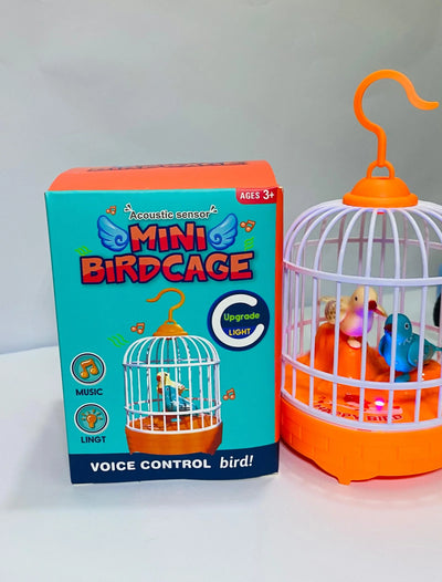 Musical Bird Cage